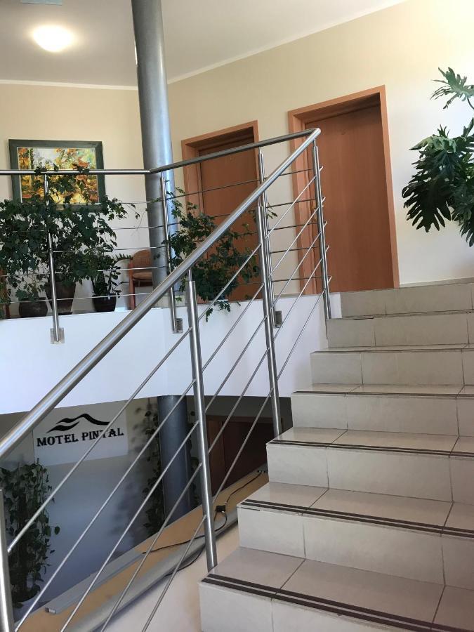 Motel Pintal Gorzów Wielkopolski Exterior foto